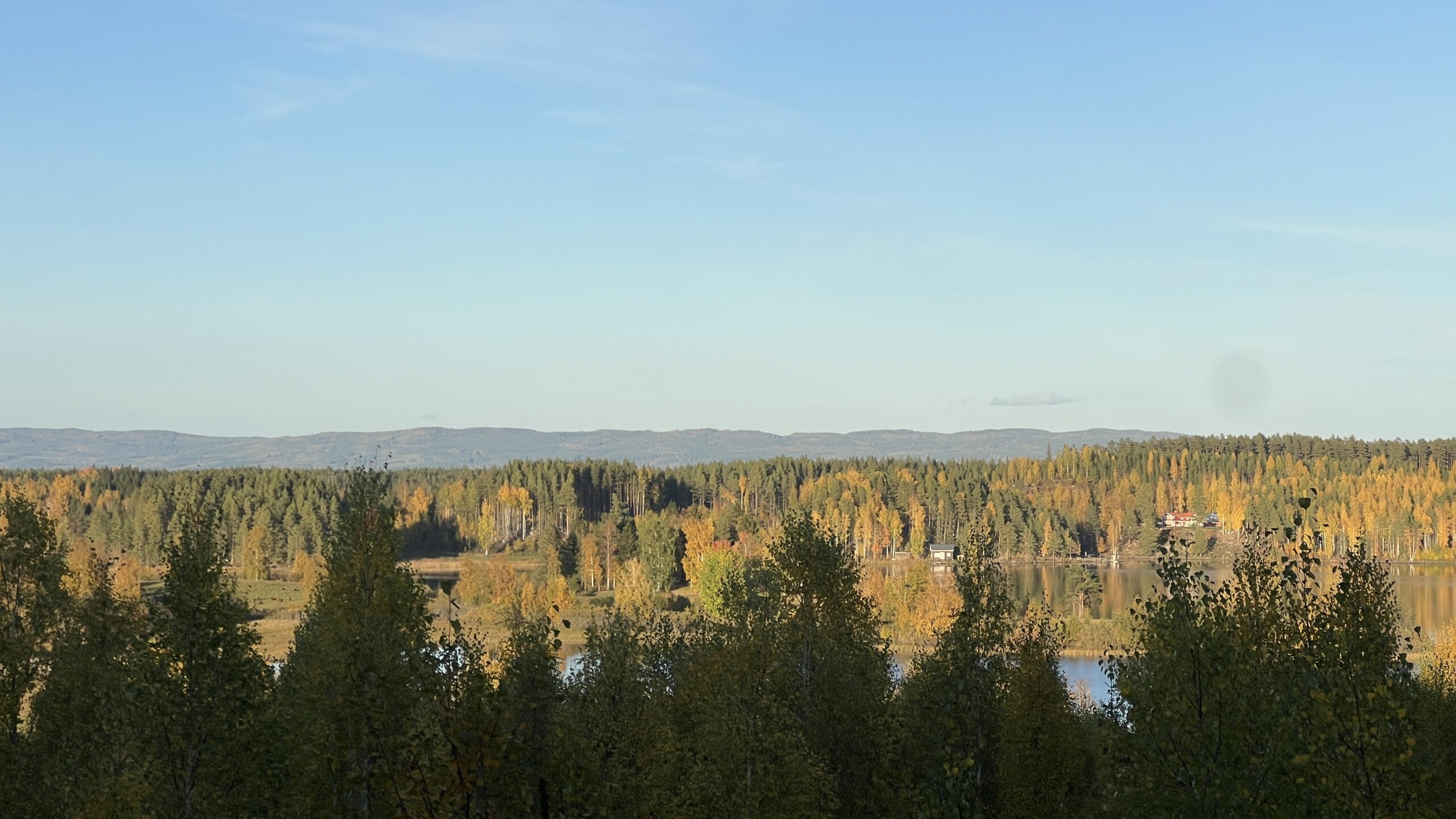 Höstens vackraste färger